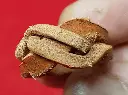 20241130_160017.webp