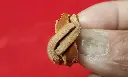 20241130_160117.webp