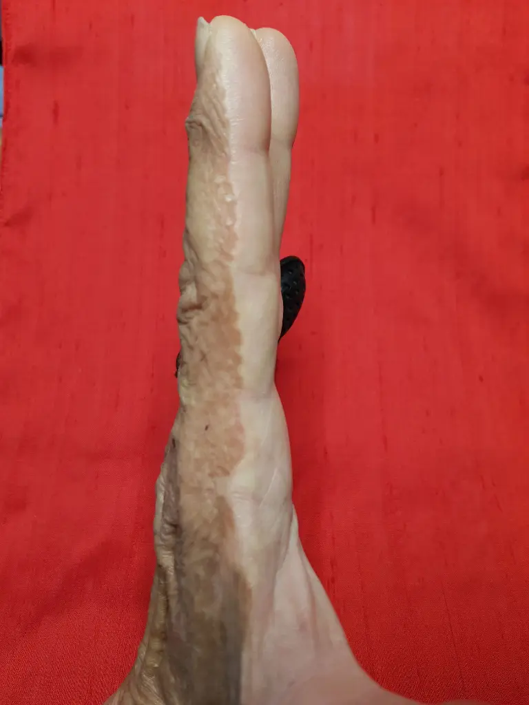 20241208_104559.webp