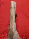 20241208_104559.webp