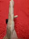 20241208_104622.webp