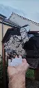 IMG20240709214439.webp