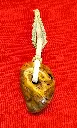 IMG_20241123_120053.webp