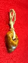 IMG_20241123_120219.webp