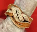 Bague "Ourobouros" 3