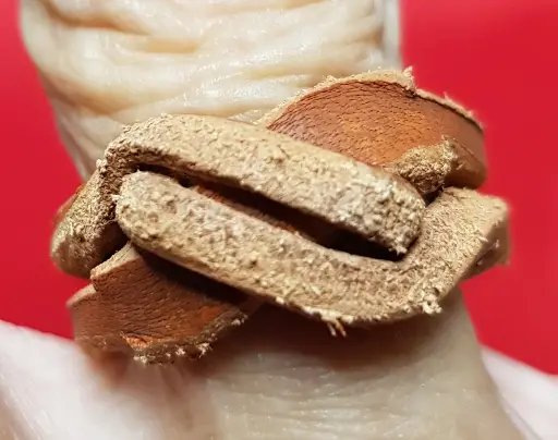 Bague "Ourobouros" 2